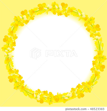 Beautiful rape flower frame Beautiful rape flower frame 48523383