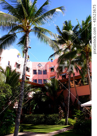 Hawaii Oahu Honolulu Waikiki Hawaii Oahu Honolulu Waikiki 48523675