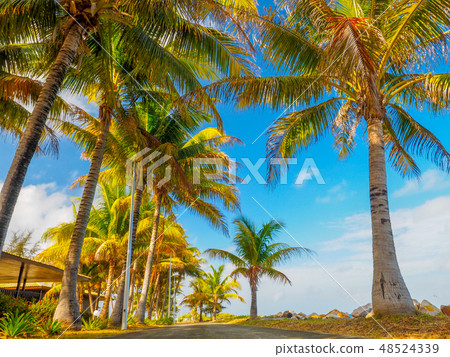 Overseas Resort Hotel 48524339