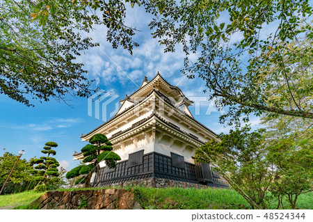 在夏天Tateyama城堡的Tateyama城堡在夏天 48524344