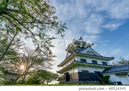 在夏天Tateyama城堡的Tateyama城堡在夏天 在夏天Tateyama城堡的Tateyama城堡在夏天 48524345