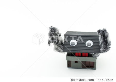 帶防火密封的房子：消防房屋：晃動的房子 48524686