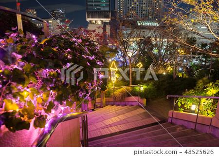 Illuminations of Namba Parks Illuminations of Namba Parks 48525626