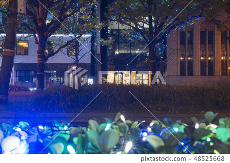 Illuminations of Midosuji Illuminations of Midosuji 48525668