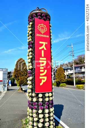 種植Habotan種植在橫濱Zoalasia動物園入口 48527254