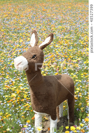 馬和野花 48527399