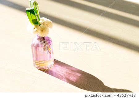 shadow form sun 48527418