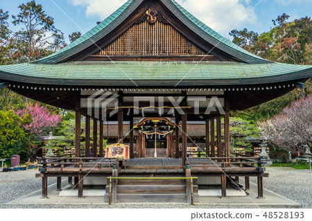 Umiya Taisha蝦盛開 48528193