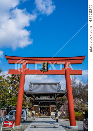 Umiya Taisha蝦盛開 48528242