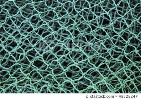 綠網 綠網 48528247