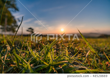 我妻子的山 48528669