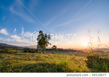 My wife's hill 48528677