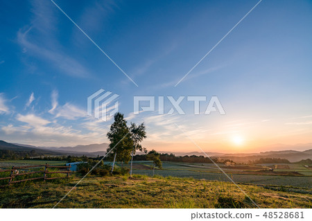 My wife's hill 48528681