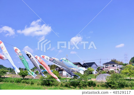 五月的藍天和鯉魚飄帶 48529117