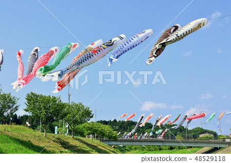 五月的藍天和鯉魚飄帶 五月的藍天和鯉魚飄帶 48529118