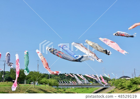 五月的藍天和鯉魚飄帶 48529119