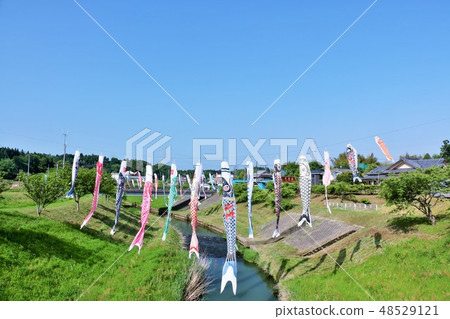 五月的藍天和鯉魚飄帶 48529121