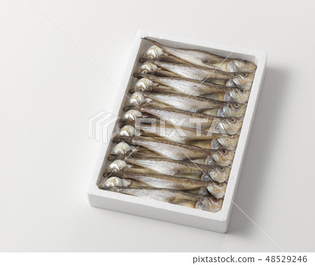 Dried fish dried 48529246