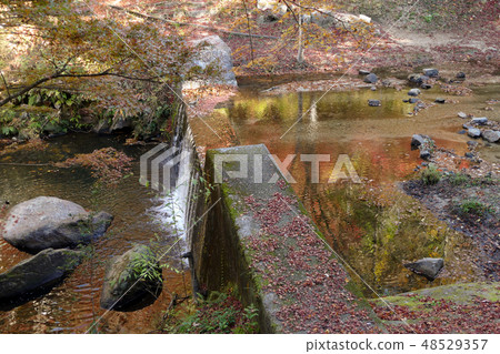 Sabo水壩在秋天 48529357