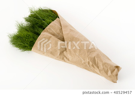 茴香包裹在牛皮紙(茴香) 茴香包裹在牛皮紙(茴香) 48529457