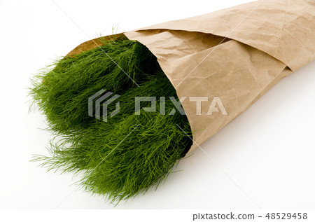 茴香包裹在牛皮紙(茴香) 茴香包裹在牛皮紙(茴香) 48529458