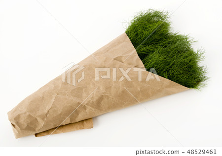 茴香包裹在牛皮紙(茴香) 茴香包裹在牛皮紙(茴香) 48529461