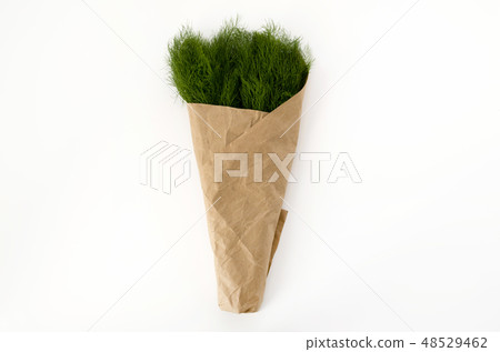 Fennel wrapped in craft paper (fennel) Fennel wrapped in craft paper (fennel) 48529462