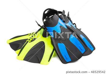 flippers isolated 48529542