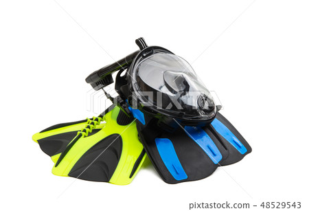 flippers isolated 48529543