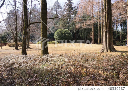 Kettle's park Kettle's park 48530287