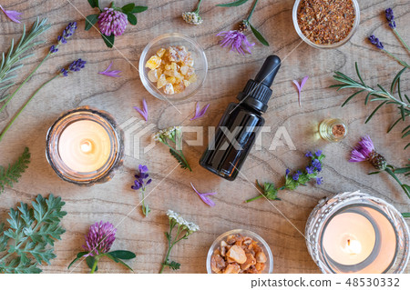 Essential oil bottles, frankincense and herbs 48530332