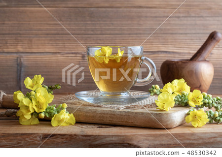 A cup of mullein tea with fresh blooming mullein 48530342