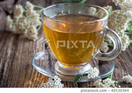A cup of yarrow tea with fresh yarrow flowers 48530364