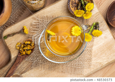 A cup of coltsfoot tea with fresh coltsfoot plant A cup of coltsfoot tea with fresh coltsfoot plant 48530373