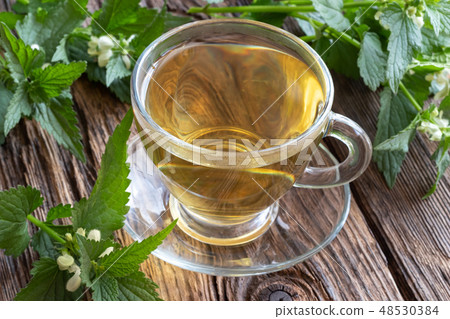 A cup of white dead-nettle tea with dead-nettles 48530384
