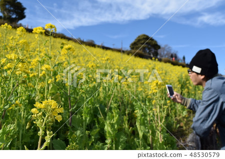 Men taking rape fields 48530579