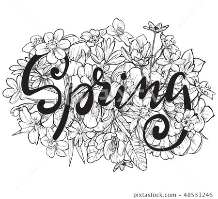 Spring text. Hand lettering with hand drawn... - Stock Illustration ...