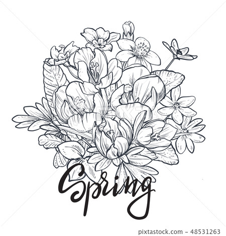 Spring text. Hand lettering with hand drawn flower bouquet on white background. 48531263
