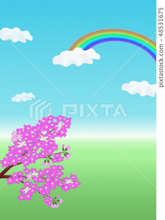 用鮮花的風景·春天·櫻花和彩虹 用鮮花的風景·春天·櫻花和彩虹 48531675