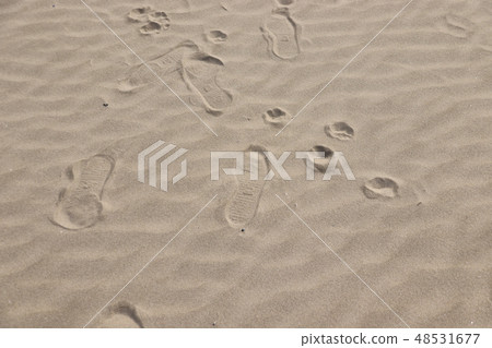 Footprints of the sandy beach Footprints of the sandy beach 48531677
