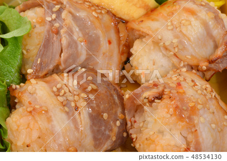 meat wrapped rice ball  48534130