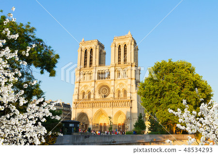 Notre Dame cathedral, Paris France Notre Dame cathedral, Paris France 48534293