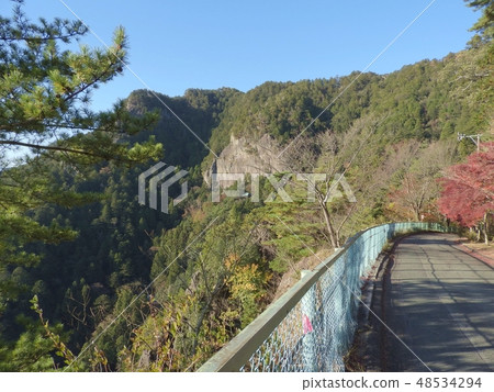 Hogetsujiyama(2018年11月愛知縣新莊市) Hogetsujiyama(2018年11月愛知縣新莊市) 48534294