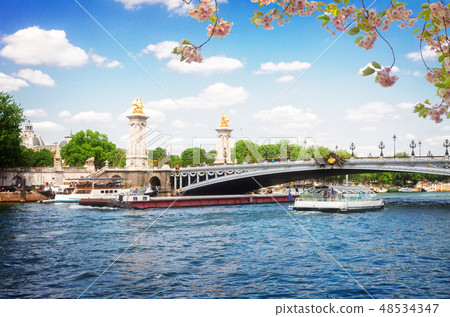 Bridge of Alexandre III in Paris, France 48534347