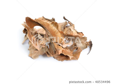 Partitioning of walnut isolated on white 48534496