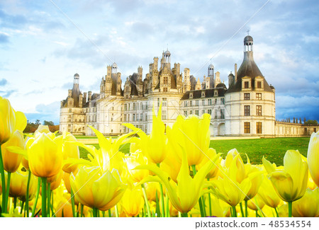 Chambord castle, Loire valley,F rance Chambord castle, Loire valley,F rance 48534554