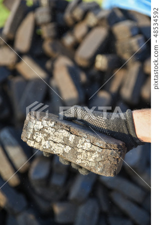 Sample of peat briquette in hand, production of alternative fuels 48534592