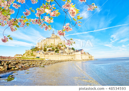 Mont Saint Michel over sea tide , France 48534593