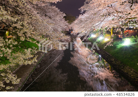 Cherry trees at Matsukawa Strawberry 48534826