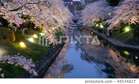 在Matsukawa草莓的櫻桃樹 在Matsukawa草莓的櫻桃樹 48534827